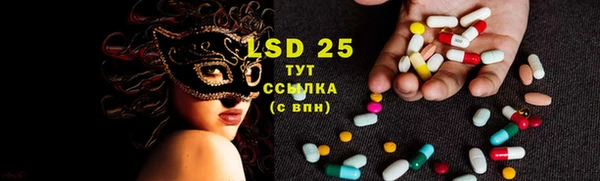 стафф Чекалин