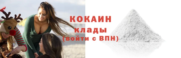 шишки Дмитровск