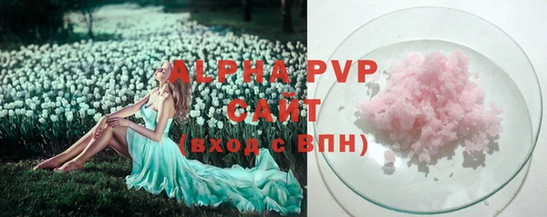 ГАЛЛЮЦИНОГЕННЫЕ ГРИБЫ Елабуга