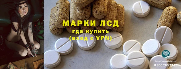 ГАЛЛЮЦИНОГЕННЫЕ ГРИБЫ Елабуга