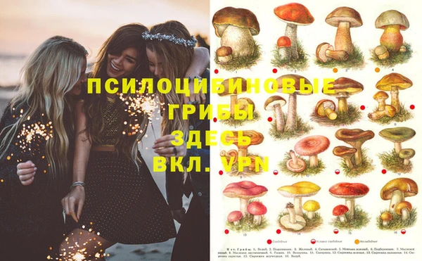 ГАЛЛЮЦИНОГЕННЫЕ ГРИБЫ Елабуга