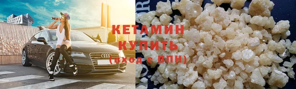 шишки Дмитровск
