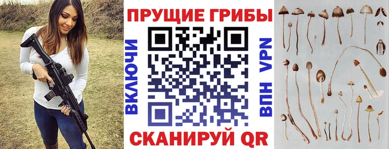 Галлюциногенные грибы Magic Shrooms  Купить где  Кстово 